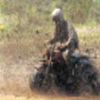 big bear custom motorcycles.